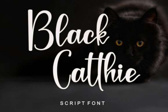 Black Catthie: A Delicate Script Font for Thoughtful Branding