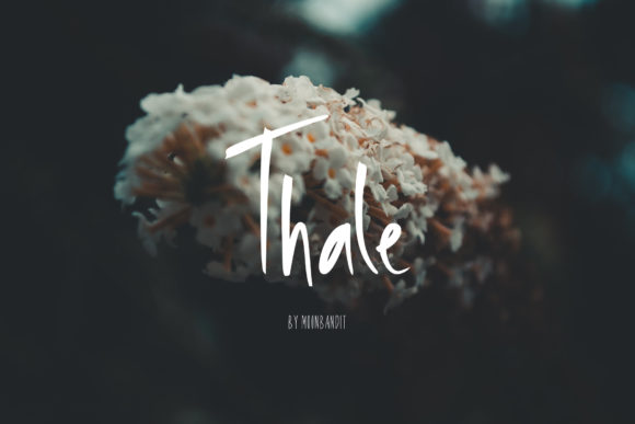 Thale Typeface: A Relaxed Handwritten Font for Digital Brands